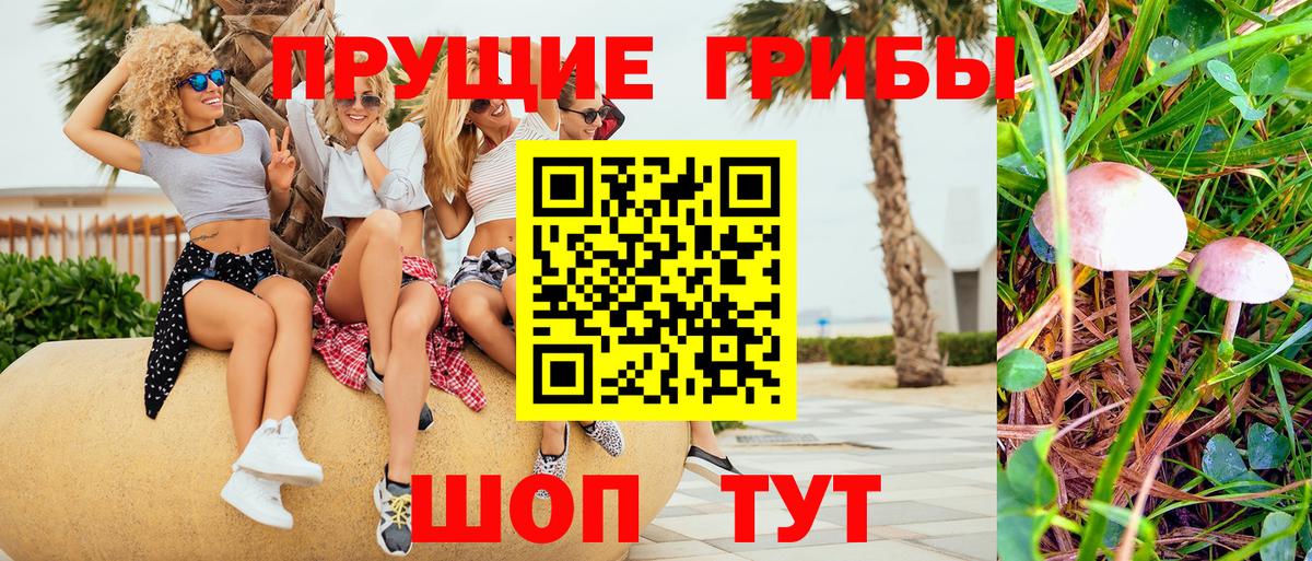Галлюциногенные грибы Cubensis Новодвинск