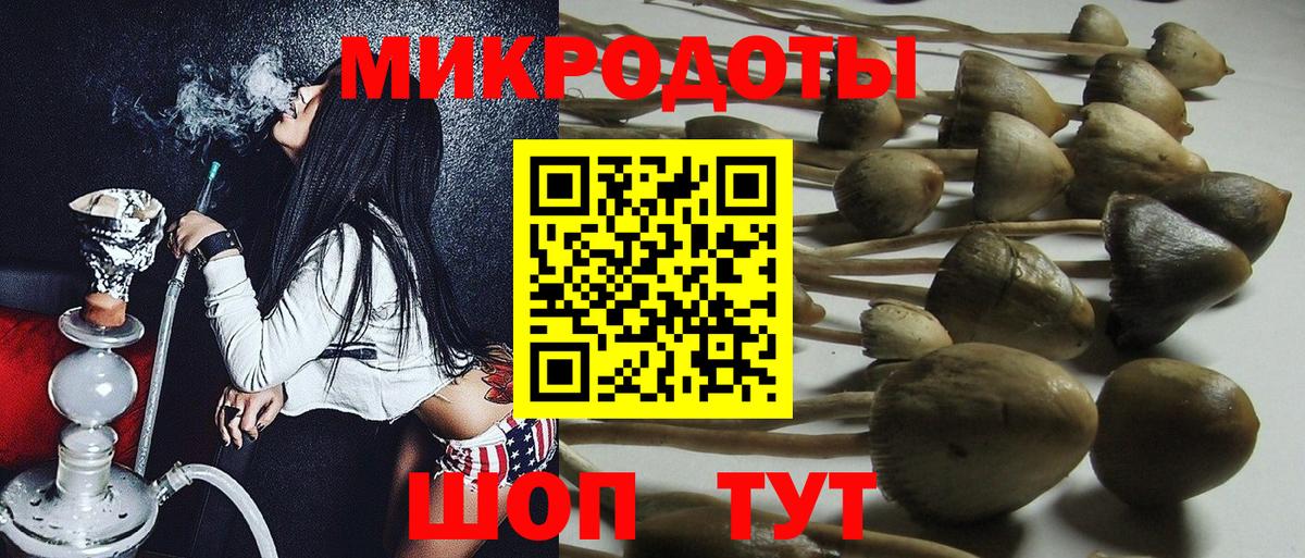 Новодвинск  Псилоцибиновые грибы MAGIC MUSHROOMS  Вход с VPN 